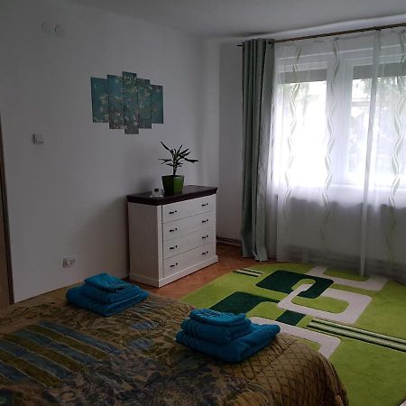 Aris Apartment Hunedoara Luaran gambar