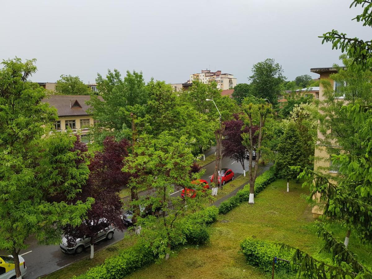 Aris Apartment Hunedoara Luaran gambar